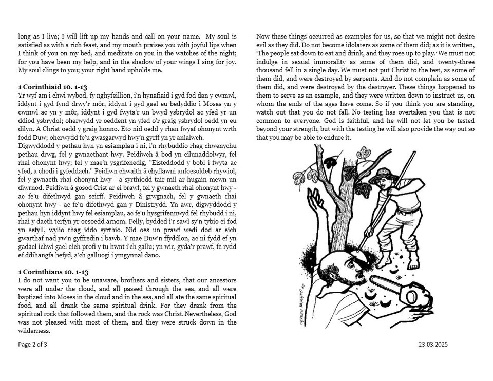 Darlleniadau'r wythnos  |  This week's readings